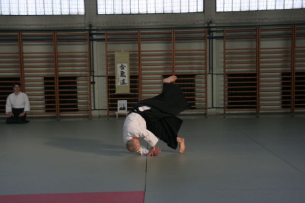 Aikido seminar Sensei Martin Katz