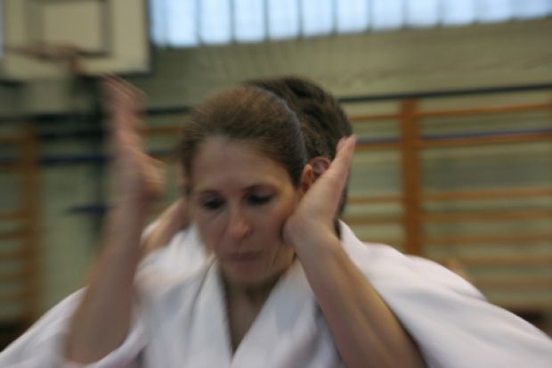 Aikido seminar Sensei Martin Katz