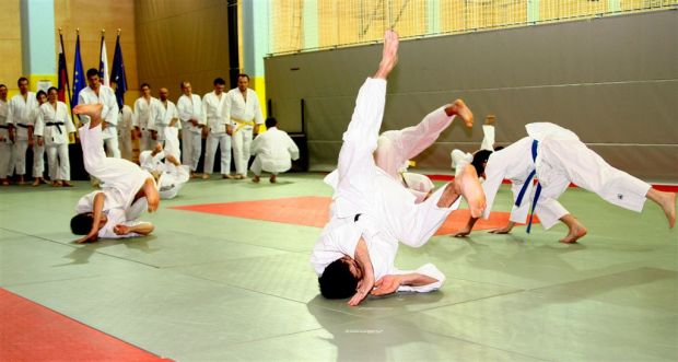 Predstavitev aikida priznanja Japonskega veleposlaništva